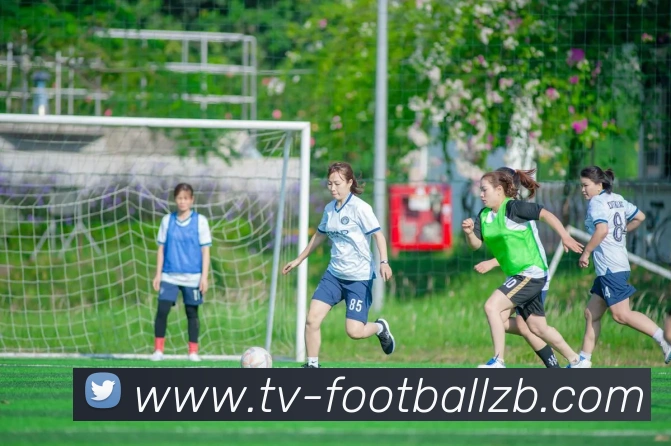 多媒体互动体验